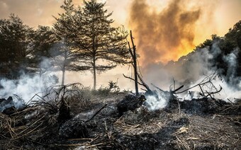 Оценка ущерба после стихийного бедствия в Екатеринбурге: отчет оценщика